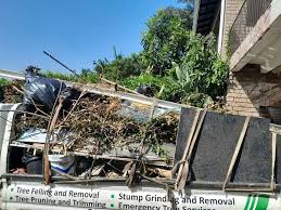 Eureka Mill, SC Junk Removal Services Company